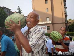 大型吃瓜现场图,揭秘娱乐圈幕后风云