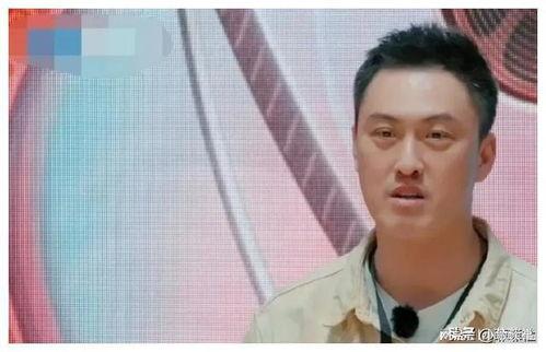 娱乐圈吃瓜爆料电影有哪些